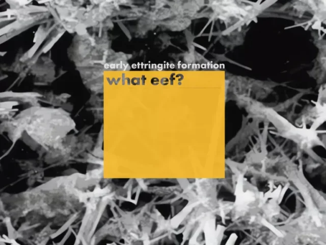 EEF Early Ettringite Formation – What Eef? (Bandits Rec cd 2024)