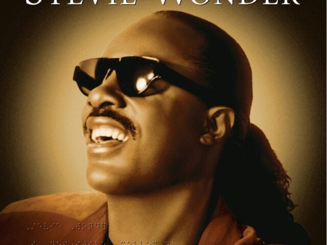 Stevie Wonder: in vinile The Platinum Collection