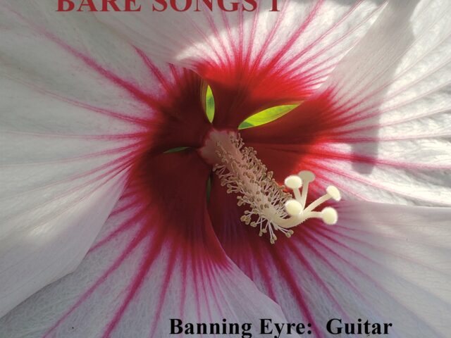 Banning Eyre – Bare songs vol 1